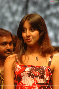 Sanjana at Bujjigadu Triple Platinum Disc Function