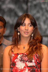 Sanjana at Bujjigadu Triple Platinum Disc Function