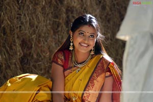 Sneha Photo Gallery/Wallpapers