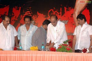 Victory Audio Release