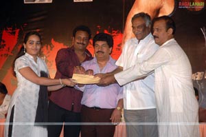 Victory Audio Release