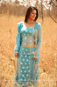 Bhumika Photo Gallery from Naa Style Veru