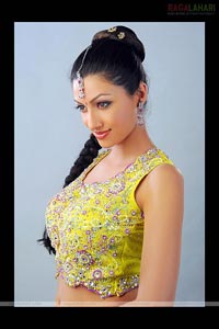 Hamsa Nandini Portfolio Pictures