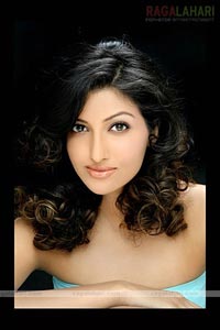 Hamsa Nandini Portfolio Pictures