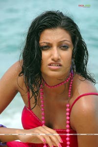 Hamsa Nandini Photo Gallery from Adhinetha