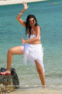 Hamsa Nandini Photo Gallery from Adhinetha