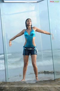 Shriya Spicy Photo Gallery