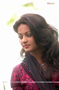 Sneha Ullal Photo Gallery