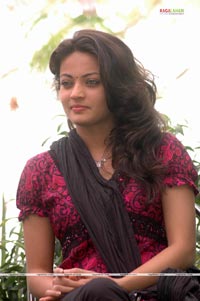 Sneha Ullal Photo Gallery