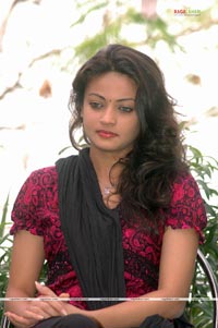 Sneha Ullal Photo Gallery