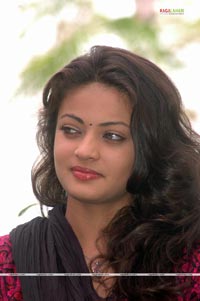 Sneha Ullal Photo Gallery