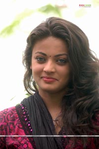 Sneha Ullal Photo Gallery