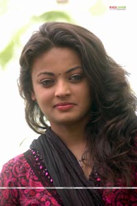 Sneha Ullal Photo Gallery