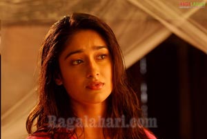 Ileana Photo Gallery