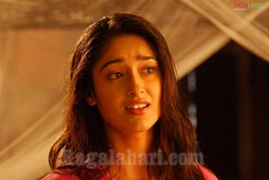 Ileana Photo Gallery