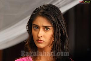 Ileana Photo Gallery