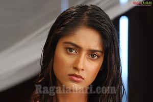 Ileana Photo Gallery