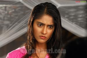 Ileana Photo Gallery