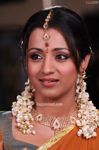 Trisha Photo Gallery from Namo Venkatesa