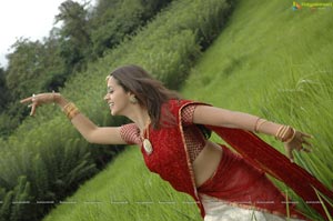 Bhavana