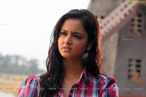 Shanvi