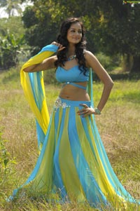 Shanvi