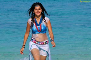 Gorgeous Indian Girl Taapsee