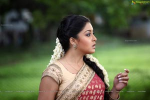 Tanushree Dutta Print Size Photos