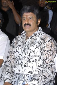 Balakrishna at Adhinayakudu Triple Platinum Disc Function