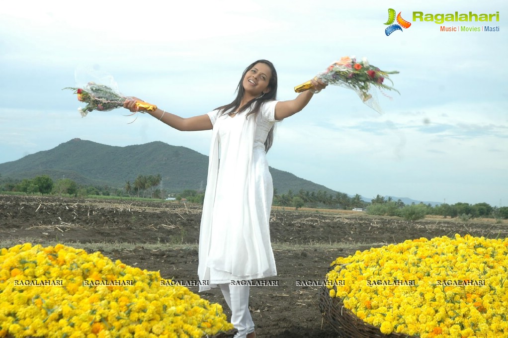 Bhavana in Half Saree, Stills From Prema Nilayam