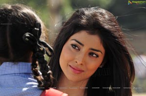 Expressions of Shriya Saran