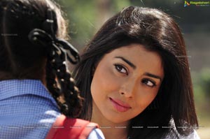 Expressions of Shriya Saran