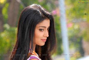 Shriya Saran High Definition Wallpapers