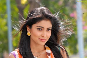 Shriya Saran High Definition Wallpapers