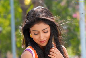 Shriya Saran High Definition Wallpapers