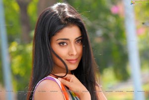 Shriya Saran High Definition Wallpapers