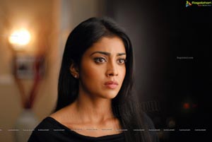 Shriya Saran High Definition Wallpapers