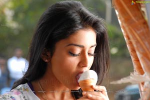 Shriya Saran High Definition Wallpapers