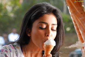 Shriya Saran High Definition Wallpapers