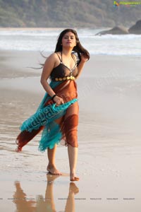 Hot Indian Bikini Model Seethal Sidge in Goa