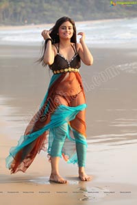 Hot Indian Bikini Model Seethal Sidge in Goa