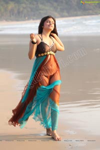 Hot Indian Bikini Model Seethal Sidge in Goa