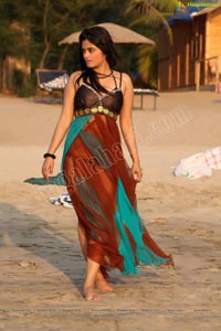 Hot Indian Bikini Model Seethal Sidge in Goa