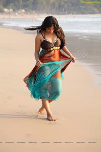 Hot Indian Bikini Model Seethal Sidge in Goa