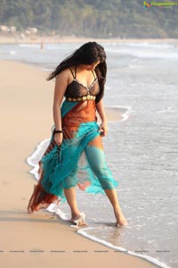 Hot Indian Bikini Model Seethal Sidge in Goa