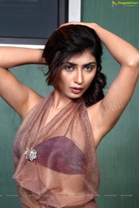 Indian Female Model Nikitha Sharma