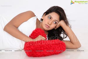 Pavani Reddy Wallpapers