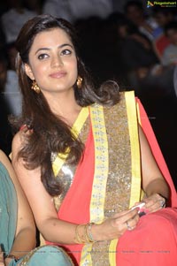 Nisha Aggarwal in Saree