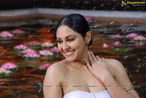 Pooja Chopra Hot in Ponnar Shankar