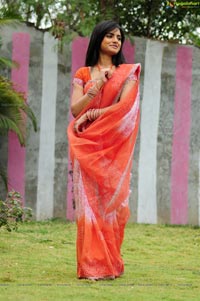 Ritu Kaur in Saree